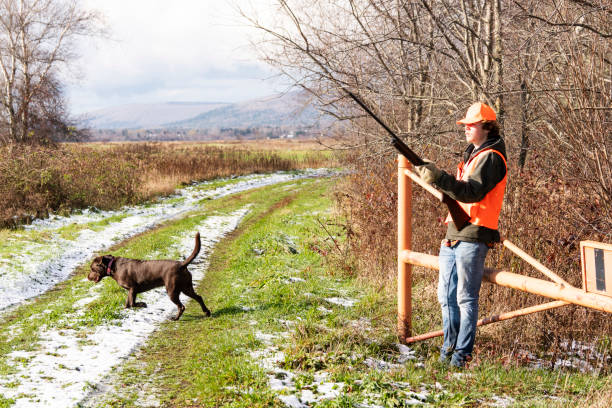 охота на фазана осенью - pheasant hunting dog retriever стоковые фото и изображения