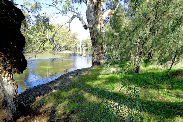 istock Deniliquin, New South Wales, Australia 1452774099