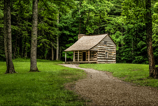 One of the most popular pioneer cabins in the Cades Cove section of the Great Smoky Mountains National Park is the Carter Shields cabin.   It sits off by itself in a grove of trees, and emphasizes just how isolated the early settlers were in a popular home for black bears and other critters.
