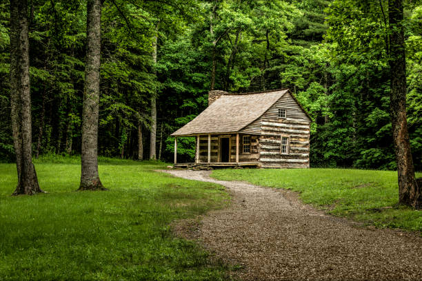 carter shields cabin in cades cove - cades imagens e fotografias de stock