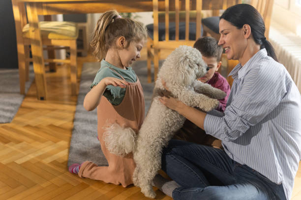 istock Dog loved by family 1452774862