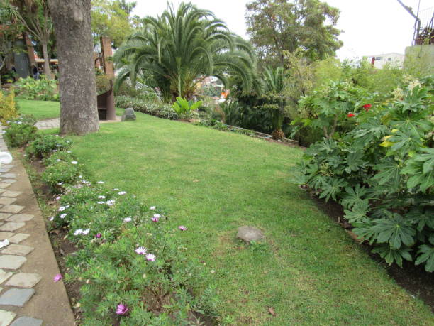 istock La Sebastina's garden Valparaiso Chile 1452776060