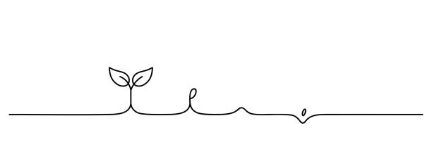 ilustrações de stock, clip art, desenhos animados e ícones de planting steps lineart bottom line, black linear vector illustration, editable stroke, horizontal design element - semente