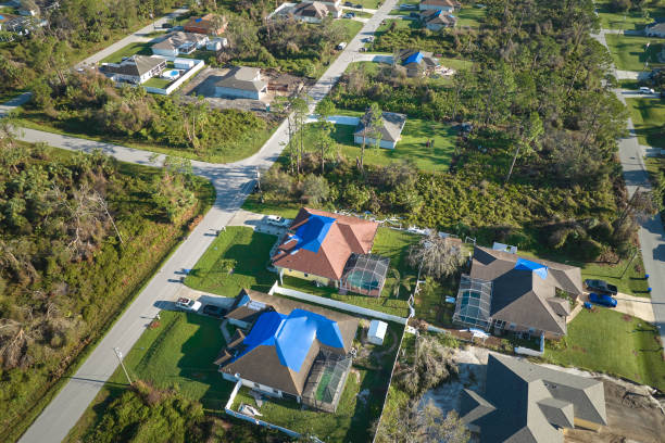 istock Hurricane Ian damaged house rooftop covered with protective plastic tarp against rain water leaking until replacement of asphalt shingles. Aftermath of natural disaster 1452778145