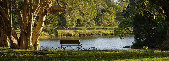 Empty park bench on the edge of a calm blue lake surrounded by trees in evening light