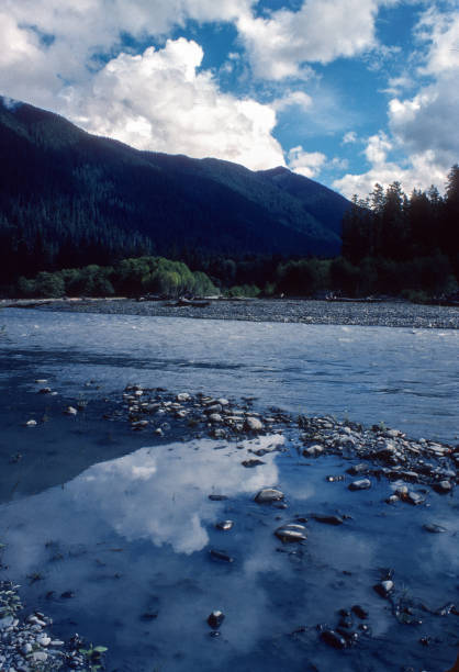 istock Olympic National Park - Hoh Rainforest - Hoh River - 1979 1452782169