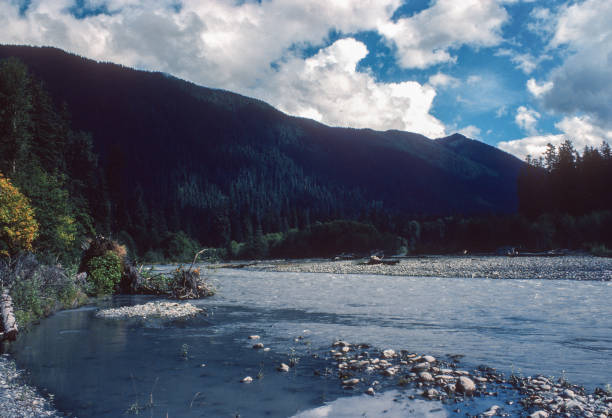 istock Olympic National Park - Hoh Rainforest - Hoh River Reflection - 1979 1452782777