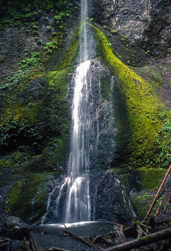 Olympic National Park  - Marymere Falls Close-up - 1979. Scanned from Kodachrome 25 slide.