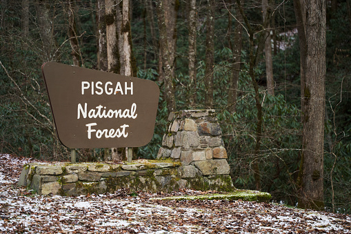 Close up of Pisgah National Forest sign in winter with snow