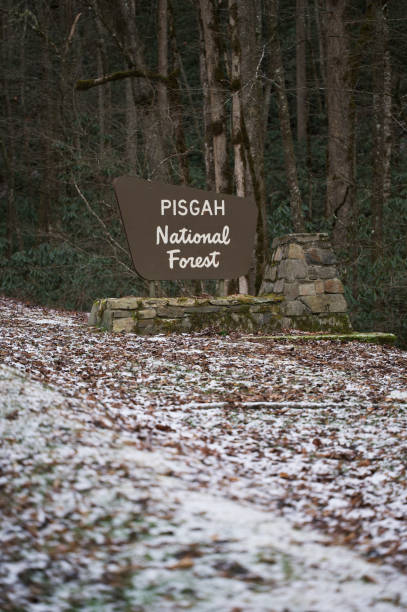 istock Pisgah National Forest sign in winter 1452785669