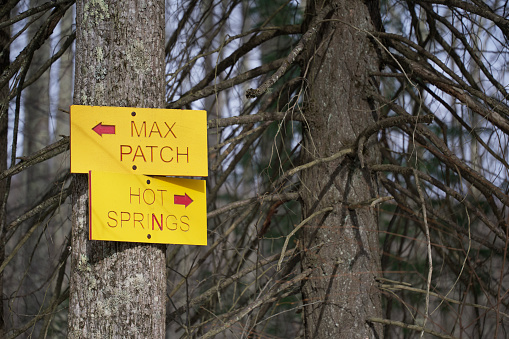 Tree with Max Patch and Hot Springs directional signs