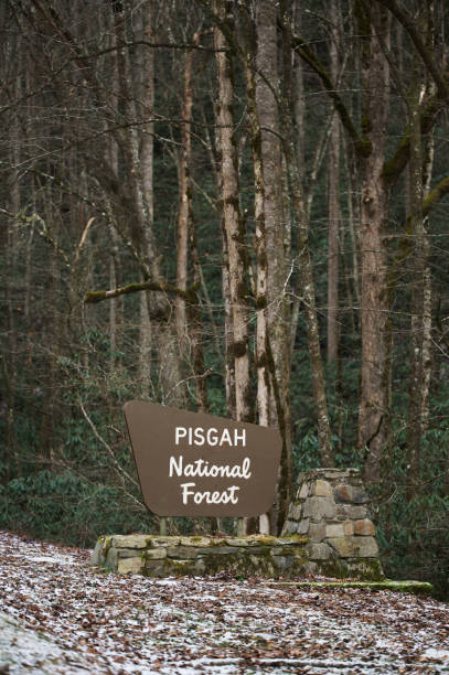 istock Pisgah National Forest sign in winter 1452785676