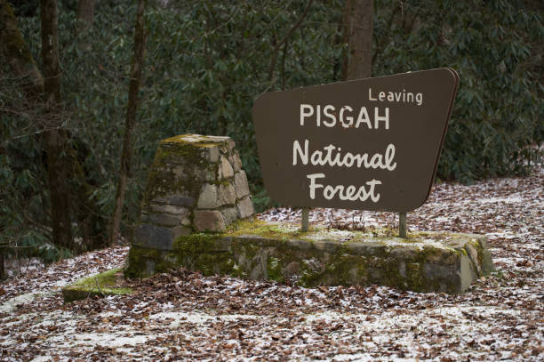 istock Leaving Pisgah National Forest sign in winter 1452785742