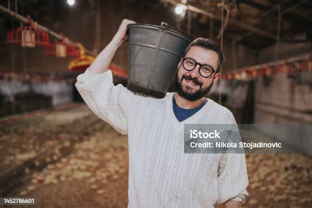 Working On Chicken Farm Stock Photo - Download Image Now - 35-39 Years, Agricultural Equipment, Agriculture