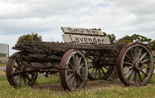 Emu Bay, Kangaroo Island, South Australia - Old wooden, four-wheeled cart with rusted metal wheels. A sign on top reads 'Emu Bay Lavender'.