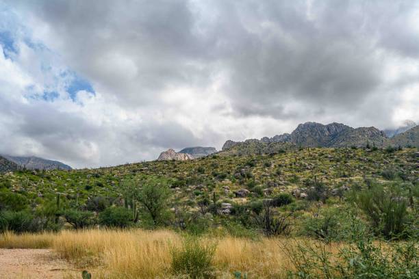 istock An overlooking view in Catalina SP, Arizona 1452790970