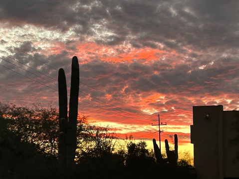 Sun setting in Tucson, AZ