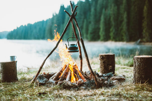 istock Peaceful atmosphere around the cozy campfire. 1452793461