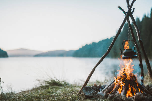 istock Peaceful atmosphere around the cozy campfire. 1452793463