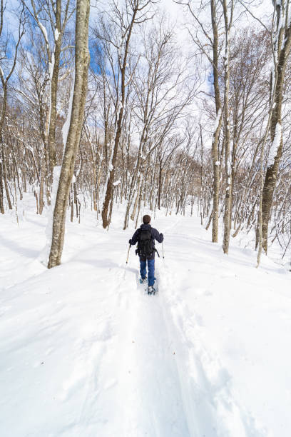 Rear view of a man snow shoe hiking through a winter forest.