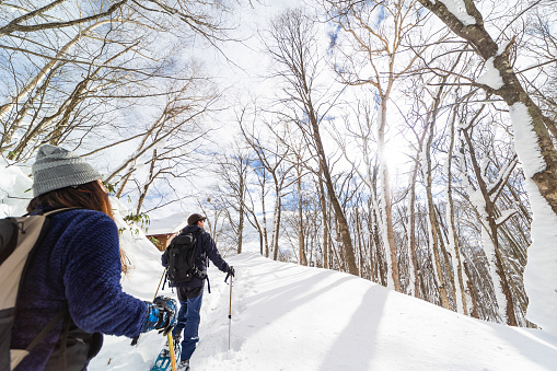 A wide angle view of two hikers snowshoeing through a winter forest.