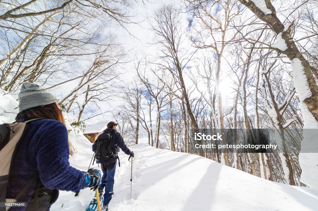 Two people snow shoe hiking in winter forest A wide angle view of two hikers snowshoeing through a winter forest. Iwate Prefecture Stock Photo