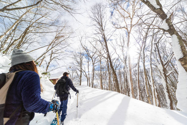 Two people snow shoe hiking in winter forest stock photo