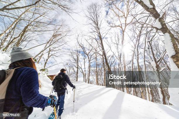 Two People Snow Shoe Hiking In Winter Forest Stock Photo - Download Image Now - Iwate Prefecture, Exploration, Snowshoe