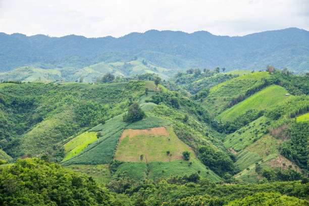 istock Mountain view in Nan province 1452802187