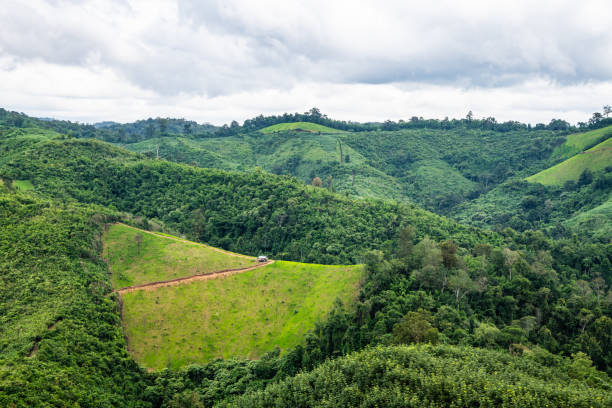 istock Mountain view in Nan province 1452802188