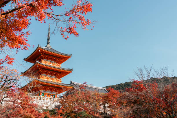 Kiyomizu-dera Temple and autumn maple in Kyoto, Japan stock photo