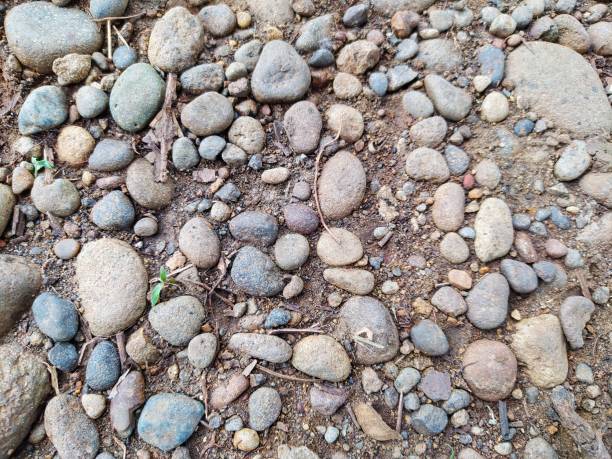 Free Stock Photo of A group of rocks on the ground | Download Free ...