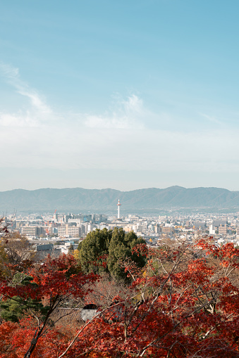 View of Kyoto city and autumn forest in Japan