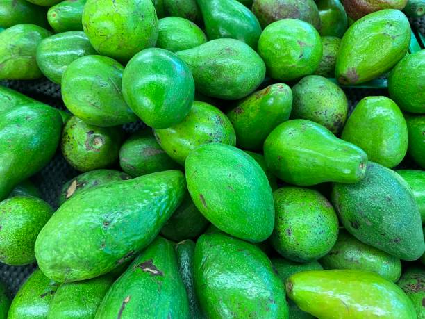 アボカドまたはアルプカットと呼ばれる緑色の果物のグループ - group of objects avocado green brown ストックフォトと画像
