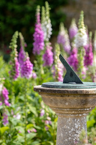 A vertical shot of a sundial in a garden