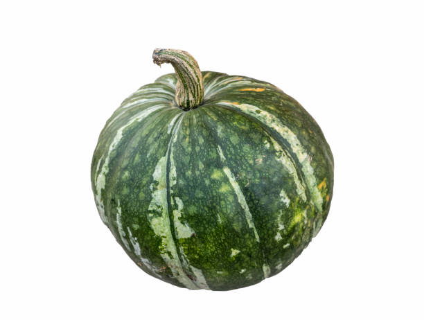 istock realistic pumpkin isolated on white background close up, halloween symbol 1452822155