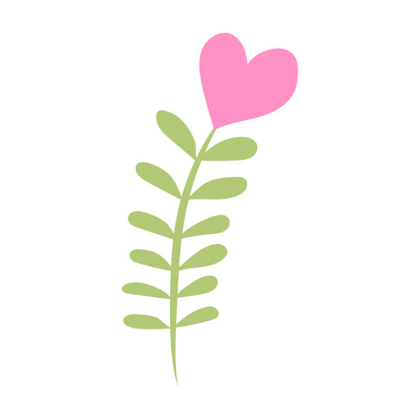 ilustrações, clipart, desenhos animados e ícones de flor cor-de-rosa na forma de um coração - flower valentines day valentine card backgrounds