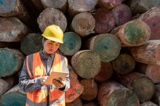 istock A female worker is checking the timber condition at the port 1452827032