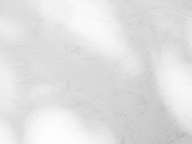 istock Abtract Overlay Shadow Leaves on Grey Cement Background 1452828090