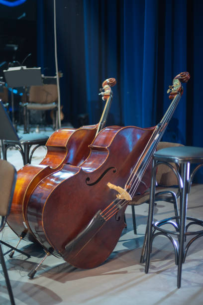 istock double bass musical instrument on stage 1452832316