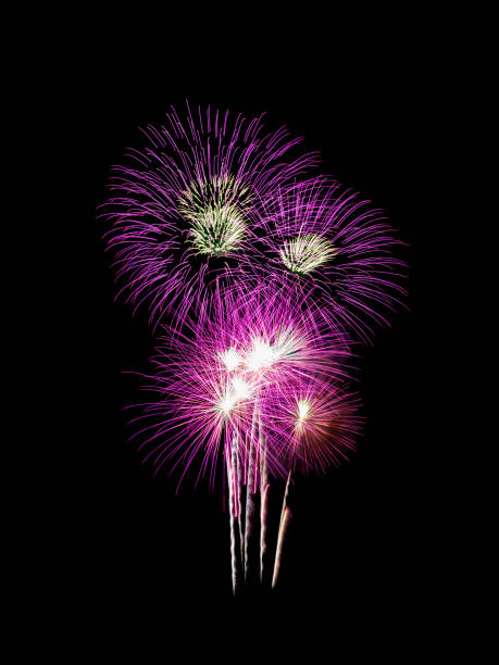 istock Pink fireworks on black background for celebration and anniversary 1452833622