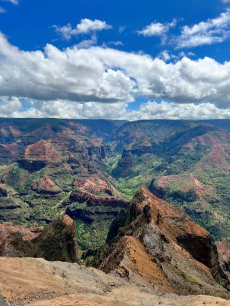 istock Waimea Canyon Lookout 1452834599