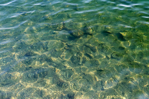 istock Sun shining clear water surface texture photograph. 1452836628