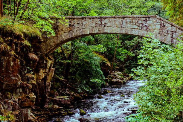 istock River course of the Bode in the Bodetal Harz 1452836645
