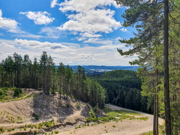 istock Landscape scenery, high angle view, ski slope in the summer 1452836799