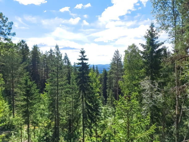 Landscape scenery