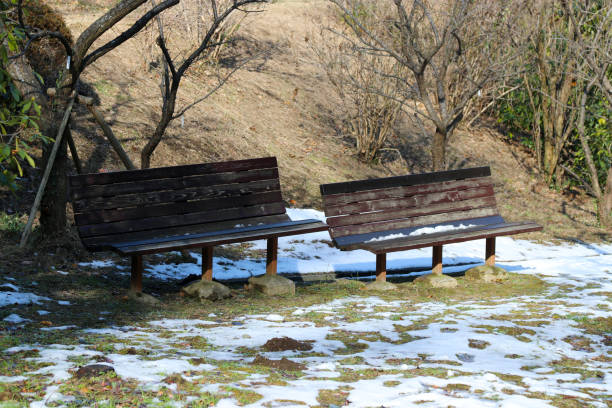 istock Cold winter park bench with snow still on the ground. 1452836932