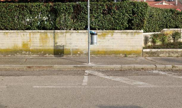istock Full garbage bin on a pole in the sidewalk. Concrete fence with hedge on background and asphalt road in front. 1452838456