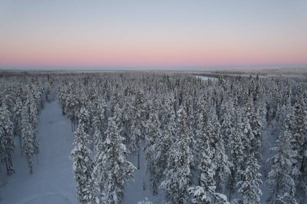 istock Aerial view of a hut in a snowy forest 1452838457