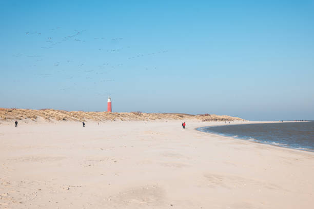 sceneria latarni morskiej texel na północ od wyspy texel w holandii - lighthouse beacon north sea coastal feature zdjęcia i obrazy z banku zdjęć